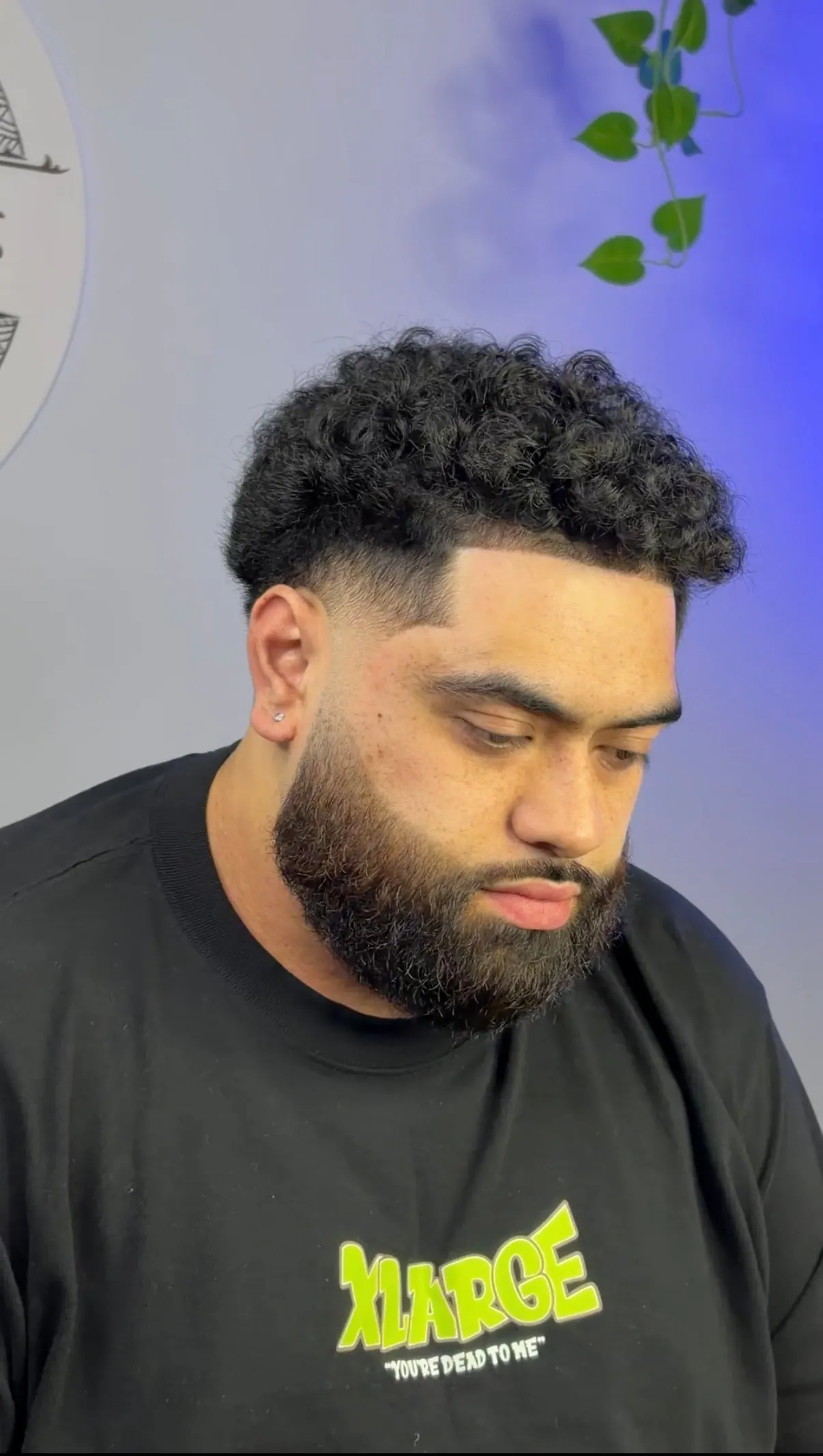 Curly top cut over a taper, finished with a full beard shaped along the jaw.