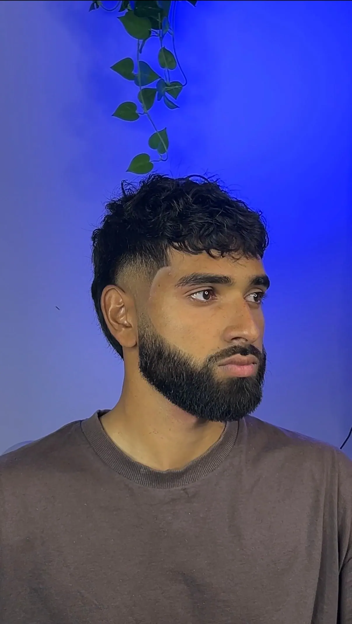 Curly top left full over a drop fade, finished with a full beard shaped through the jaw and neck.